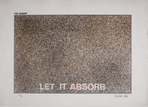 Antonio Dias – The Desert-Let it Absorb – Silkscreen on handmade paper 