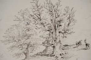 Pines on the Wengern Alp - Swiss – Jacob George Strutt – 1835