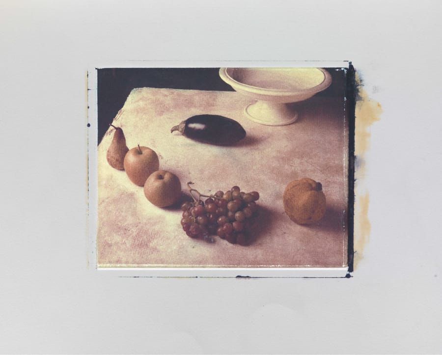 Natura morta con uva .Omaggio a Capogrossi – Fabrizio Ceccardi – 1989 – Fabrizio Ceccardi, Polaroid, Photography