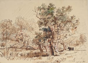 Jacob George Strutt – Oaks near Colchester on the road to Abberton – Ink and watercolor 