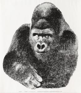 Enzo Mari – Il Gorilla – Serigrafia