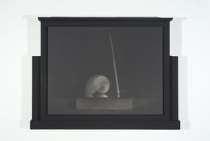 Sergio  Scabar – Teatrino di cose – Stampa alchemica ai sali d'argento