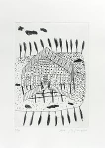 Michele De Lucchi – Casa con morbillo leggero 2 – Acquaforte